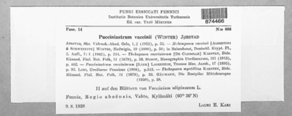 Naohidemyces vaccinii image
